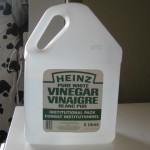 What can you do with a giant bottle of vinegar?  A heck of a lot!!