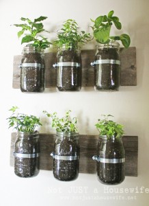 Mason Jar Planter - Perfect for small spaces and apartments