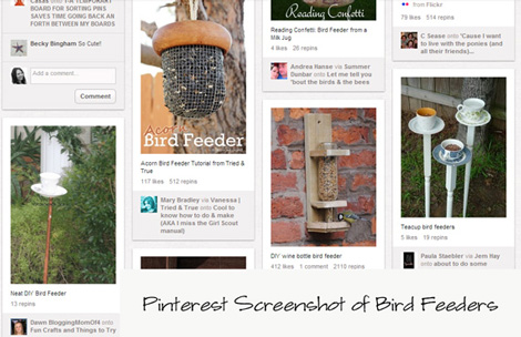 Pinterest Search for Bird Feeders
