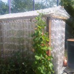 Adding a greenhouse to your garden