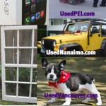 January's Top Searches Plus What to Sell in February 