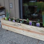 DIY: pallet planter box