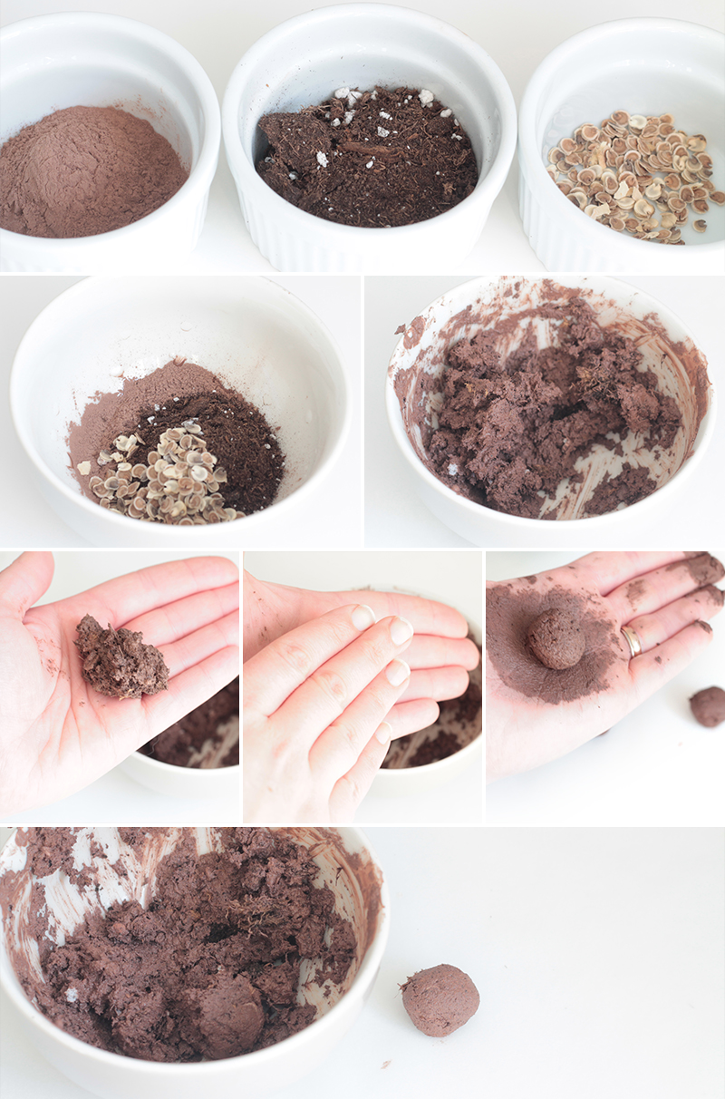DIY Seed Balls by Squirrelly Minds | Used Everywhere