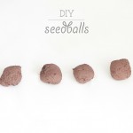 DIY Seed Balls by Squirrelly Minds | Used Everywhere