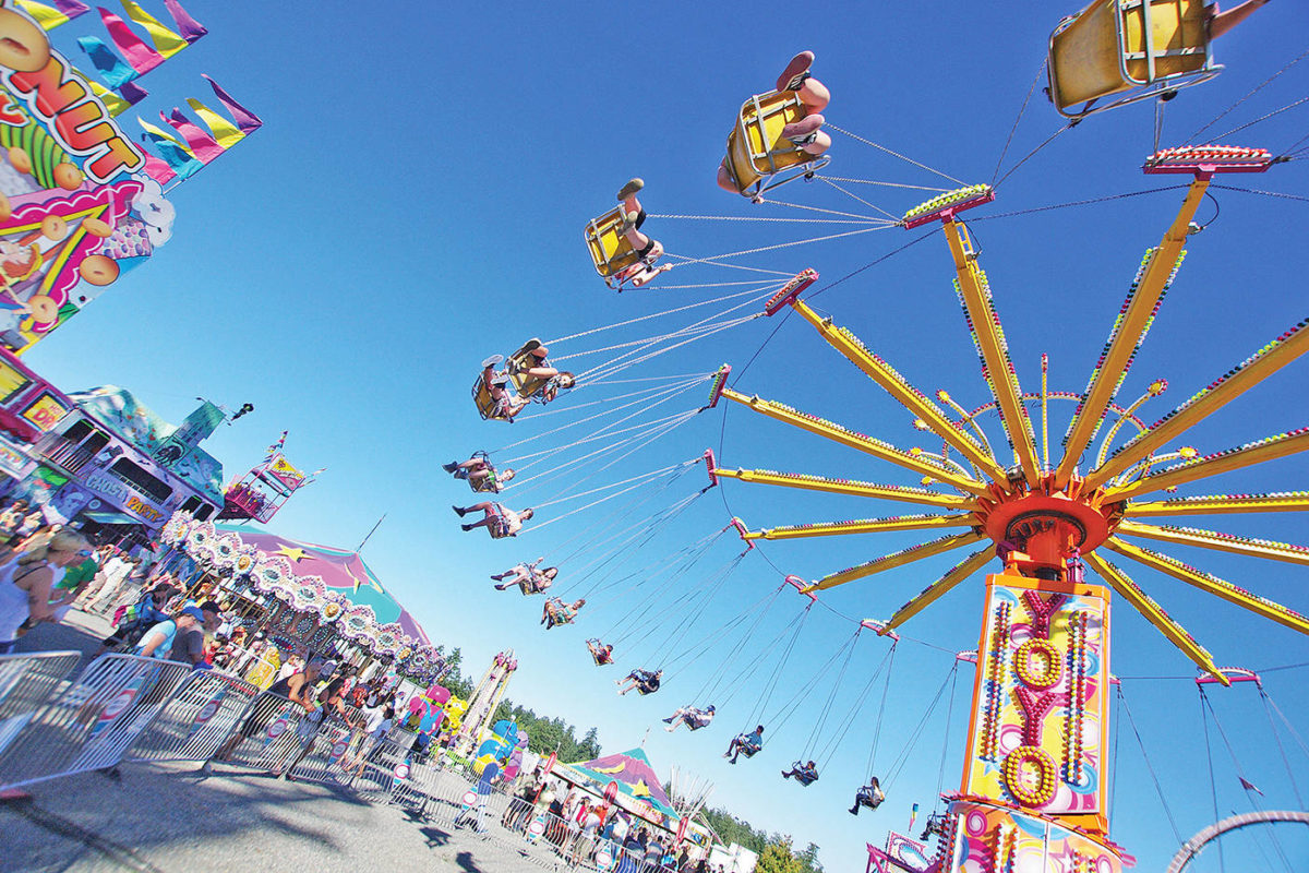 Saanich Fair a-buzz with fun for annual festivities image