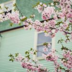 Get ready for spring with Used.ca services listings thumbnail image