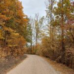 Used Around Town November 2025 thumbnail image